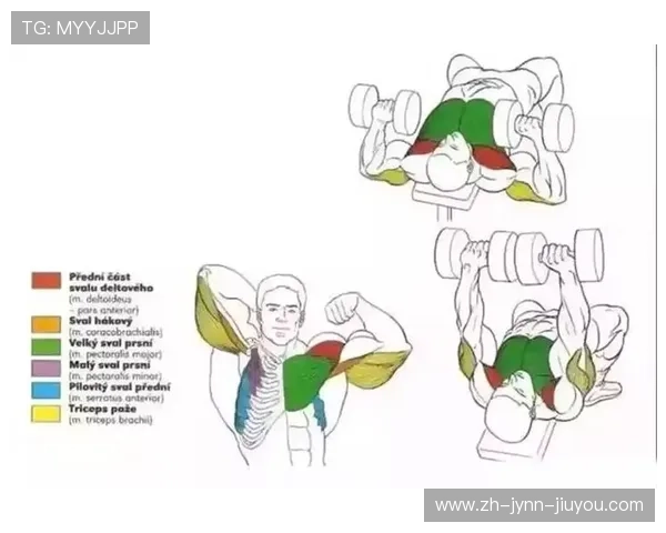 阳台健身全场景方案垂直空间器械搭配使用图解